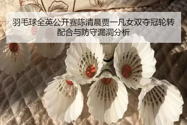 羽毛球全英公开赛陈清晨贾一凡女双夺冠轮转配合与防守漏洞分析