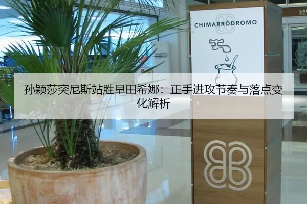 孙颖莎突尼斯站胜早田希娜：正手进攻节奏与落点变化解析